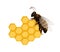 Honeybee on fresh honeycomb symbol