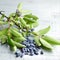 Honeyberry or haskap berries with fresh green leaves on grey wooden background