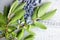Honeyberry or haskap berries with fresh green leaves on grey wooden background