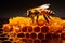 honeycomb with bee crawls through combs collecting honey. Beekeeping, wholesome food for health.