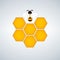honeycomb and the bee vector poster white background