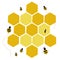 Honeycomb and bees