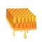 honeycomb cartoon vector illustration