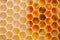 Honeycomb cells closeup