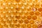 Honeycomb golden pattern