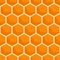 Honeycomb Hive Hexagon Seamless Pattern