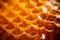 Honeycomb with honey macro shot