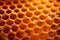 Honeycomb with honey macro shot