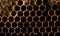 Honeycomb with honey and pollen. Sweet and natural honey inside the honeycomb. Background of honeycombs