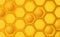 Honeycomb illustration with full and empty combs