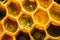 Honeycomb macro