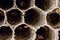 Honeycomb-shaped wasp nest