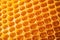 honeycomb with sunlight glinting