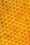 Honeycomb texture for background. Vertical composition