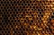 Honeycomb Texture Sweet nectar not yet extracted from the honeycomb. Background of honeycombs in dark golden hues. Macro shooting