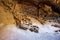 Honeycomb weathering in a natural sandstone. Eroded rock in cliffs. Rock weathering cave