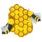 Honeycombs with honey bees