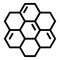 Honeycombs icon, outline style