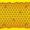 Honeycombs in the shape of hexagon, puddle of honey, bee. Vector illustration