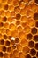 Honeyed medicine background gold health symmetry frame