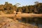 Honeymoon Bay at Freycinet National Park. Tasmania. Australia