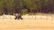 Honeymoon couple riding Motorized tricycle three wheeled Trike motorcycle in the coastal road of sand sea beach in summer sunset