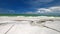 Honeymoon Island on West Coast of Florida