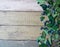 Honeysuckle berry with green leaves on a wooden table