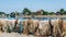 Honfleur, France. Drying fishing nets on the shore.