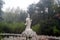 Hong Jiang, China: a Buddism godness Guanyin statue of Buddha