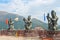 HONG KONG,HONG KONG - December 8, 2013:Three Buddhistic statues (The Offering of the Six Devas)