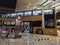 Hong Kong Port HZMB Bridge Gold Bus Transportation Golden Buses Public Transport Drop Off Luggage Ramp Design Unloading Passengers