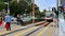 Hong Kong traffic zebra crossing pedestrian bus stop