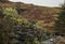 Honister Slate Mine, Cumbria, the UK - colourful hills.