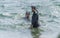 Honolulu, Hawaii, USA - 2022-08-20 - Shaka Filming Hukilau - snorklers waiting for fishing net to be brought to the