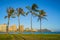 Honolulu Waikiki Beach Palm Trees at sunset, Oahu, Hawaii