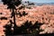 Hoo-doos and rock formations at Bryce Canyon National Park.
