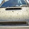 Hood of a vehicle coated with crusted mud