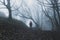 A hooded hiker, with rucksack, back to camera, on a woodland path. On a foggy, spooky, winters day