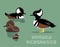 Hooded Merganser Duck Cartoon Vector Illustration