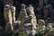 Hoodoo Rock Formations in the Chiricahua National Monument