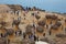 Hoodoo Stones in Yehliu Geological Park, New Taipei, Taiwan, China