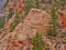 Hoodoo, Zion National park