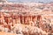 Hoodoos in the amphitheater in Bryce Canyon National Park - Utah