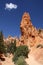 Hoodoos at Bryce Canyon