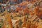Hoodoos in Bryce Canyon