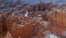 The hoodoos of Bryce canyon covered in a fresh coat of winter snow