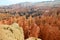 Hoodoos in Bryce Canyon Utah