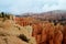 Hoodoos in Bryce Canyon Utah