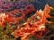 Hoodoos Canyon Landscape Sunrise